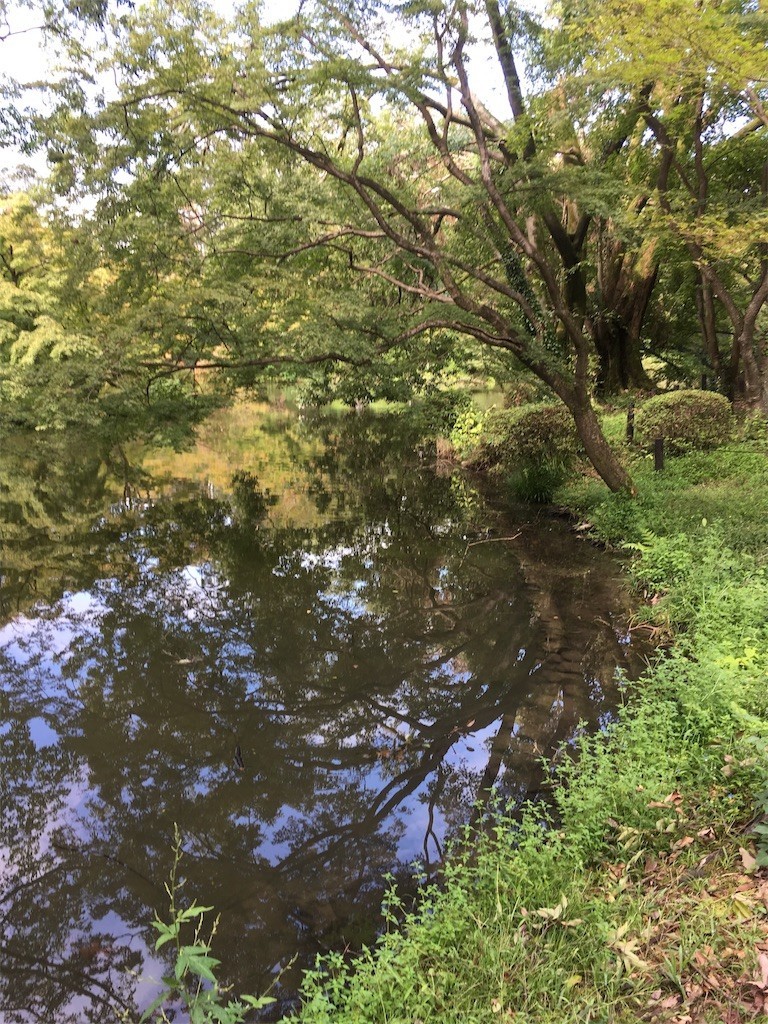 f:id:F-name:20180917163148j:image