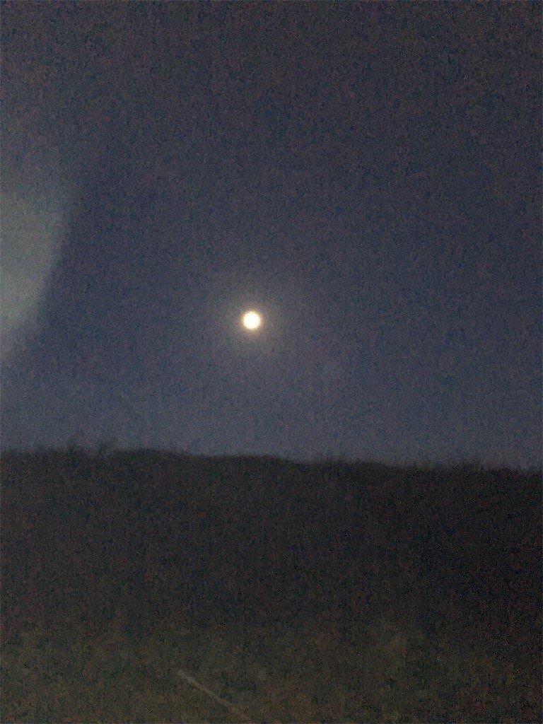 f:id:F-name:20181022132905j:image f:id:F-name:20181022132905j:image