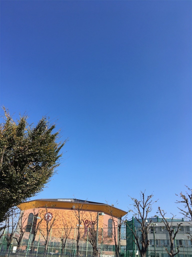 f:id:F-name:20181108175641j:image