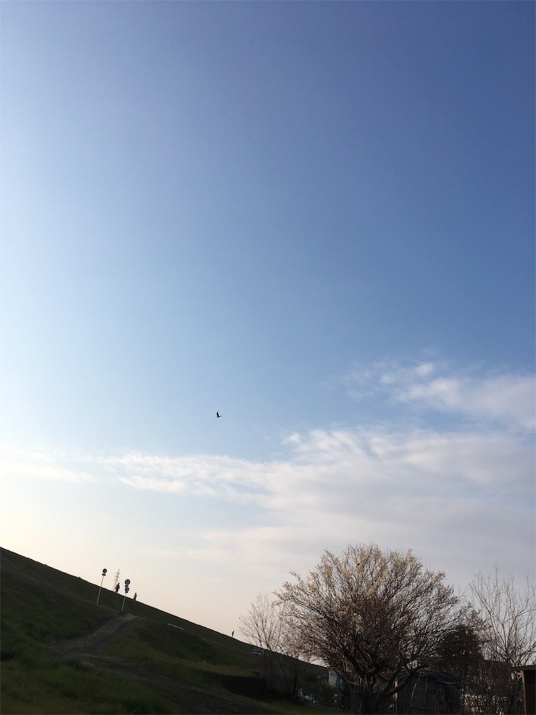 f:id:F-name:20190217114923j:image f:id:F-name:20190217114923j:image