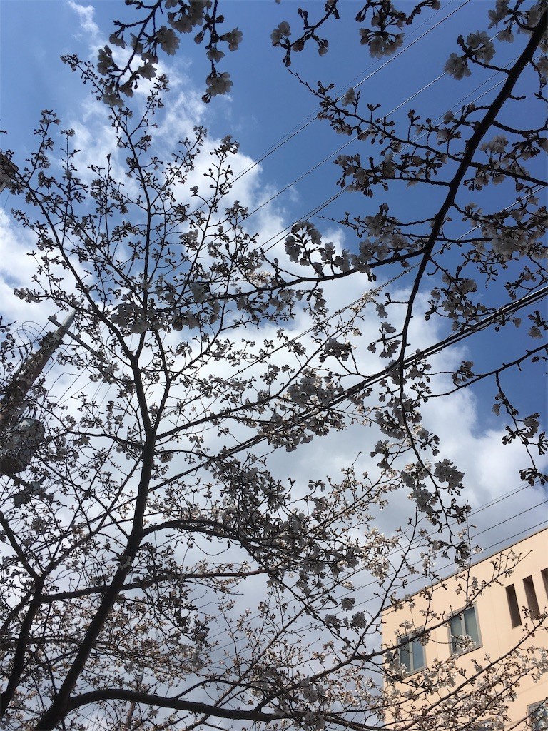 f:id:F-name:20190403154059j:image