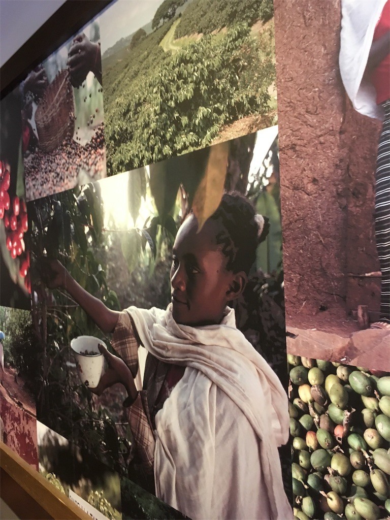 f:id:F-name:20190708132720j:image