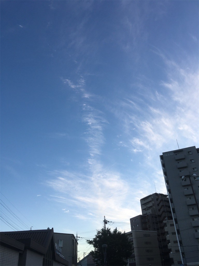 f:id:F-name:20200915123556j:image