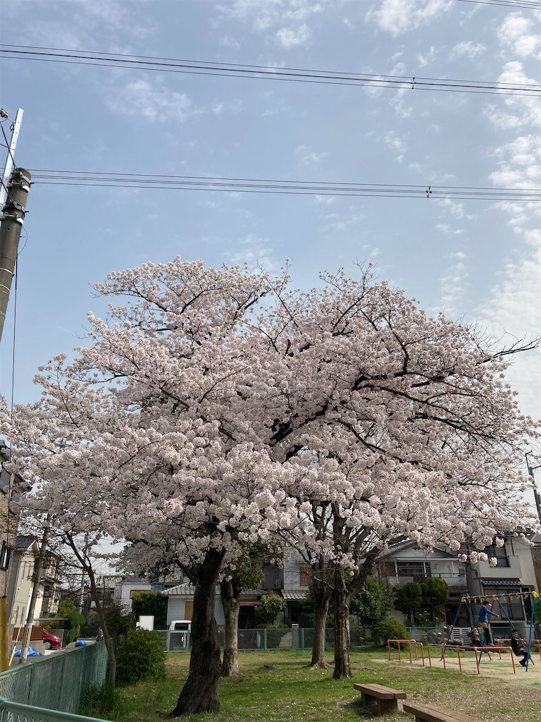 f:id:F-name:20210330132742j:image