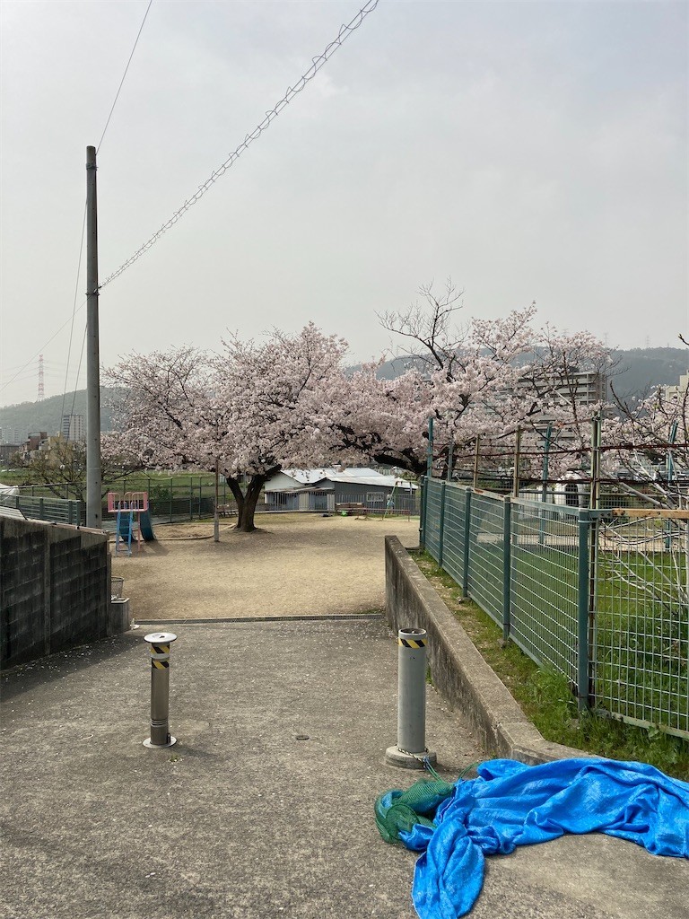 f:id:F-name:20210330132759j:image