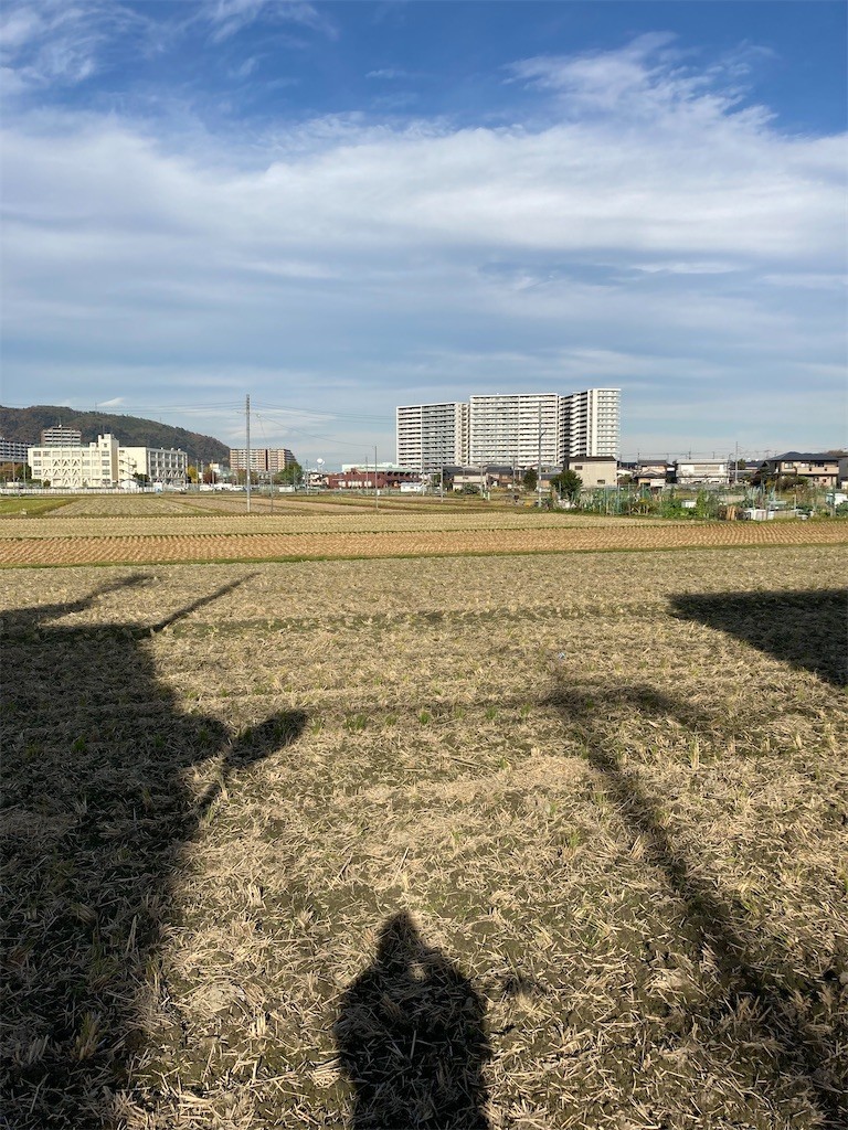 f:id:F-name:20211130145453j:image