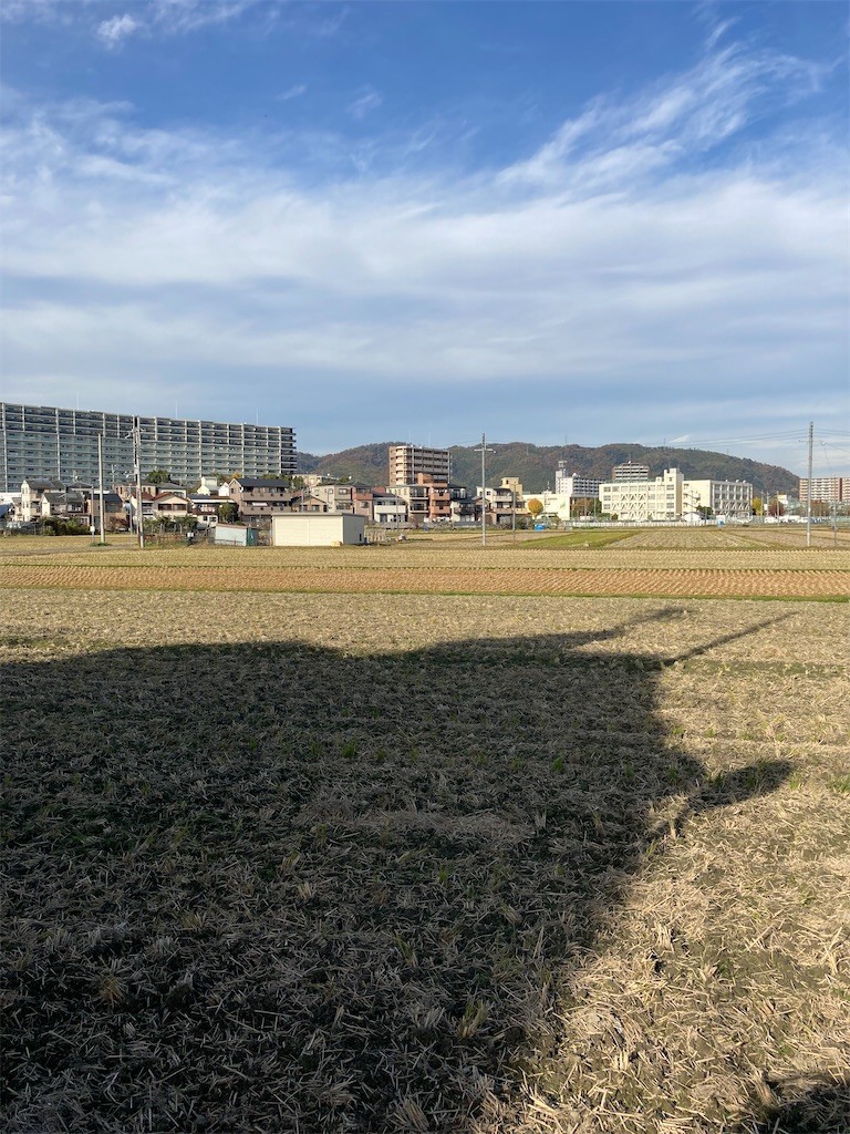 f:id:F-name:20211130145653j:image