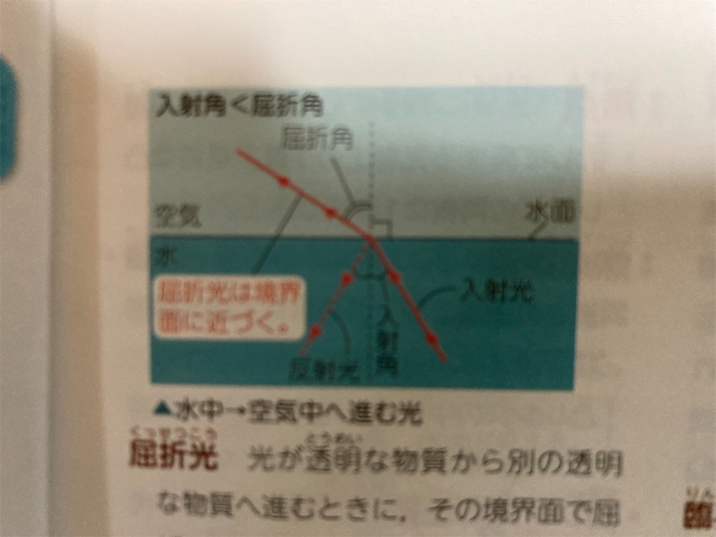 f:id:F-name:20220330163853j:image f:id:F-name:20220330163853j:image