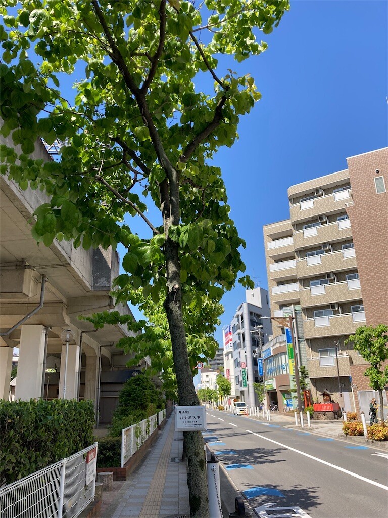 f:id:F-name:20230512154745j:image f:id:F-name:20230512154745j:image