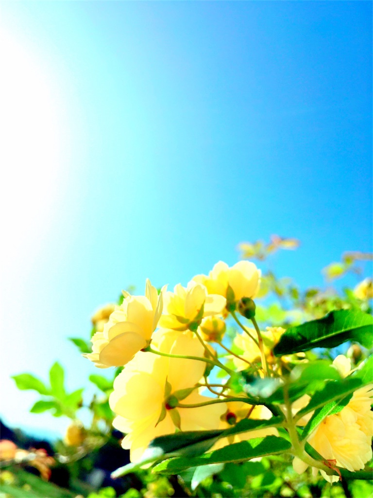 f:id:F-taka:20170502083500j:image f:id:F-taka:20170502083500j:image