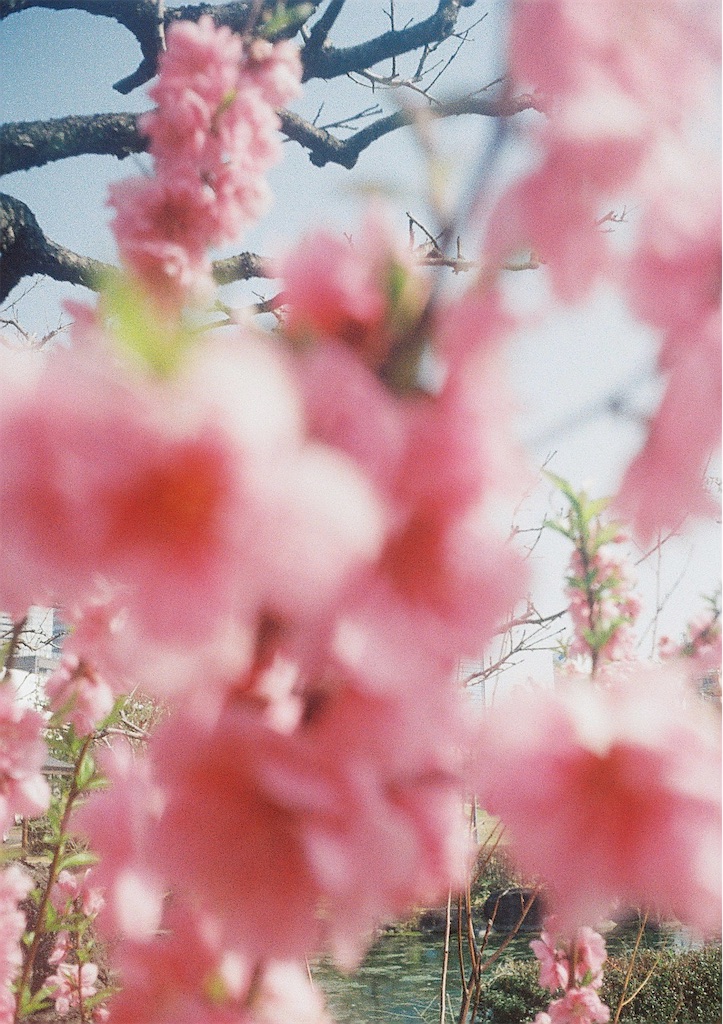 f:id:F10843:20240316185725j:image