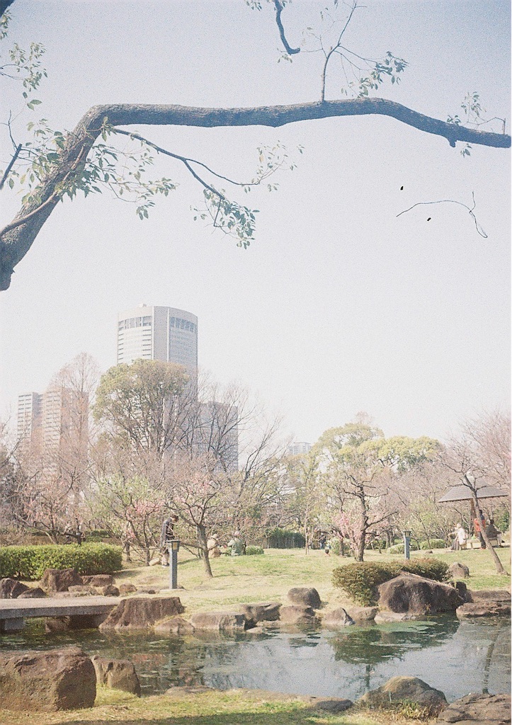 f:id:F10843:20240316185728j:image