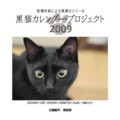 20081004131817