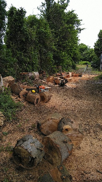 f:id:F650:20220612140345j:image