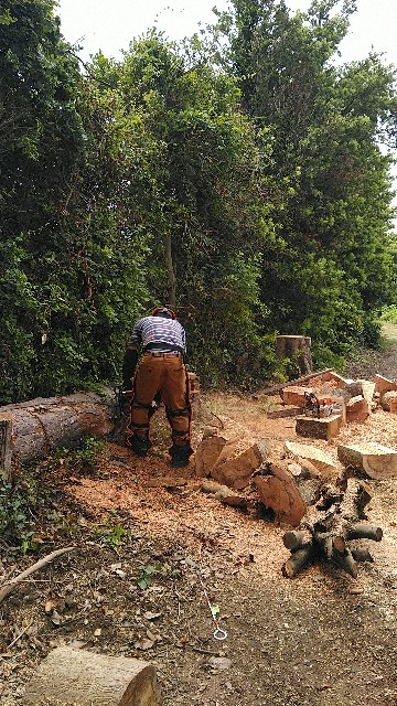f:id:F650:20220612140617j:image