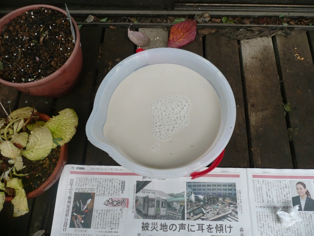 イメージ 2