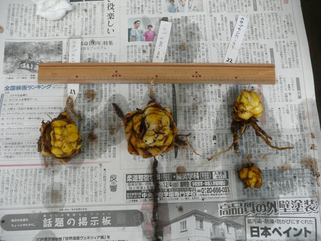 イメージ 3