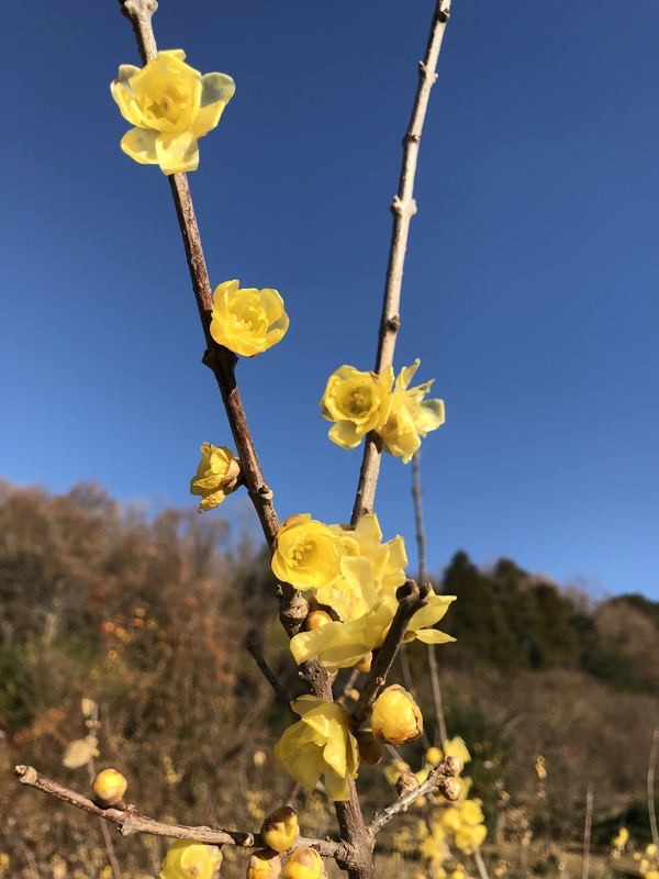 イメージ 3