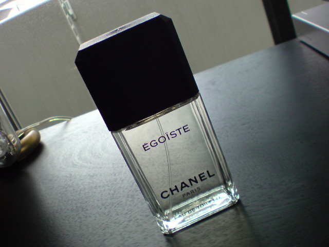 f:id:FESS:20100531095153j:image