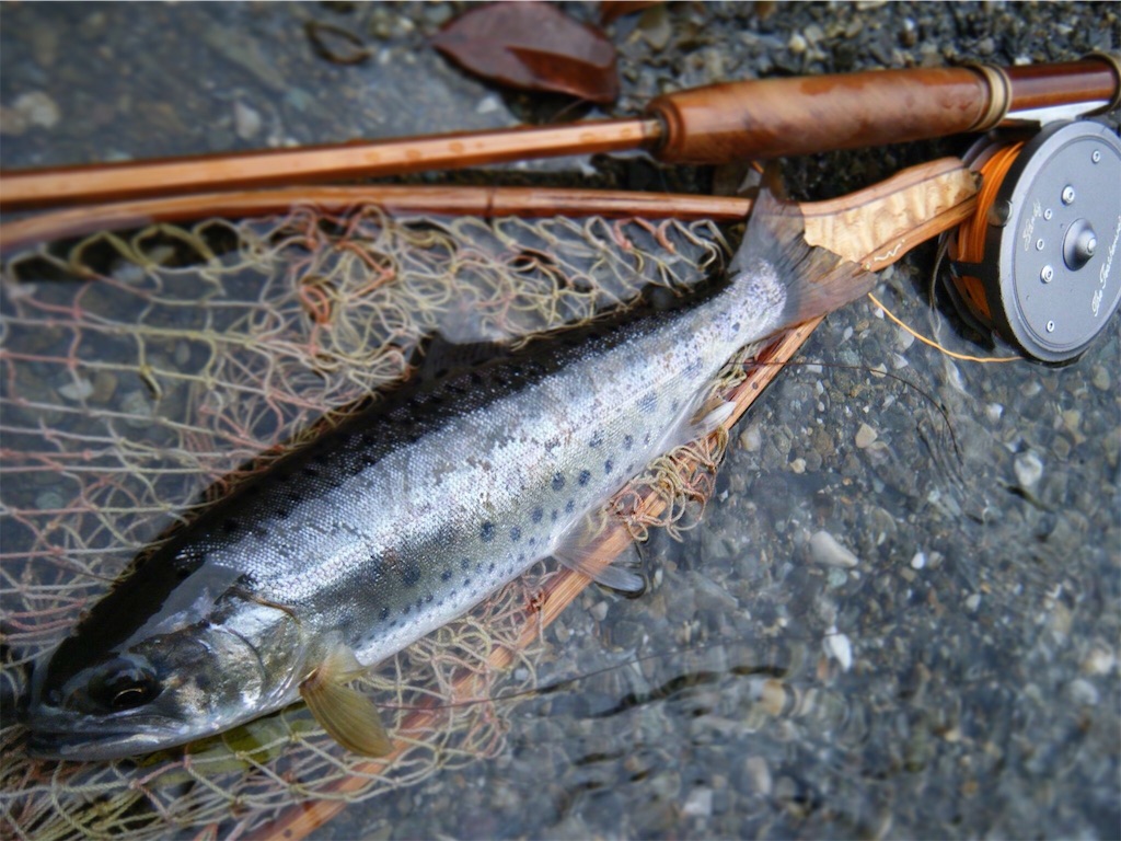 f:id:FFman_taku:20170611214925j:image