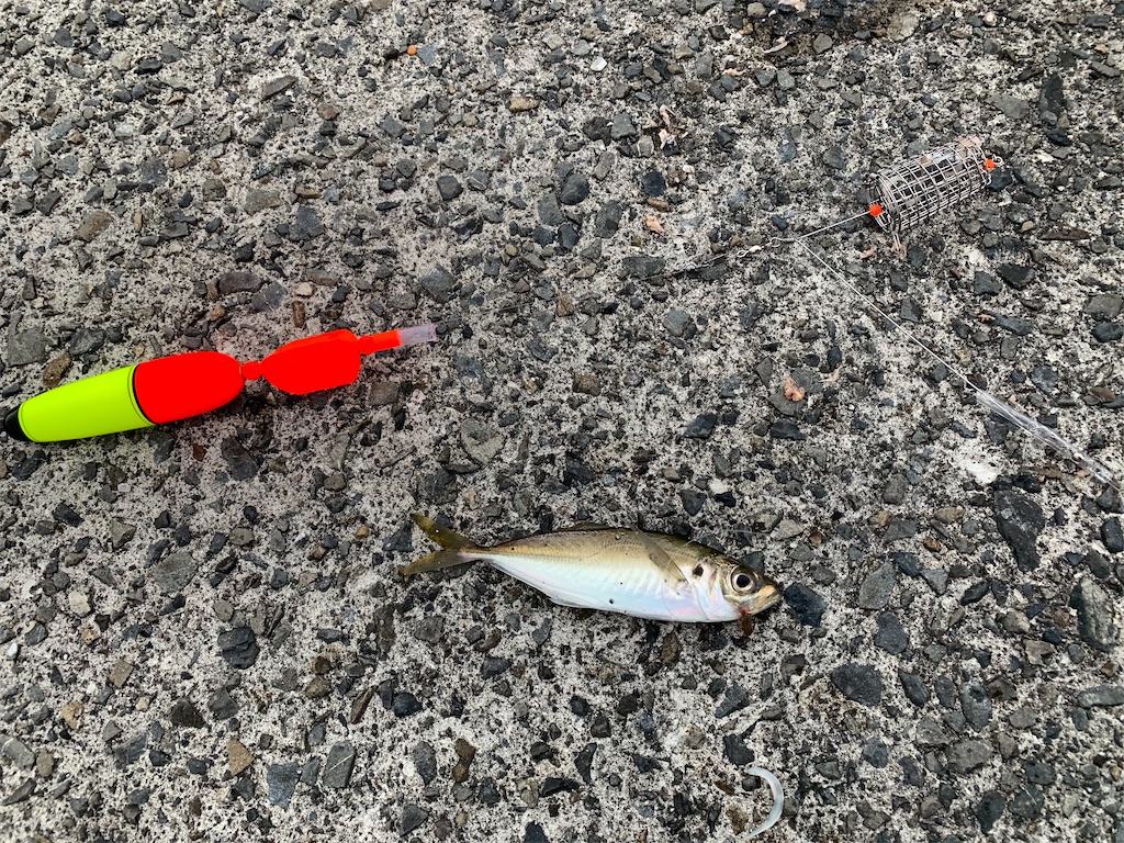 f:id:FFman_taku:20201230141115j:image f:id:FFman_taku:20201230141115j:image