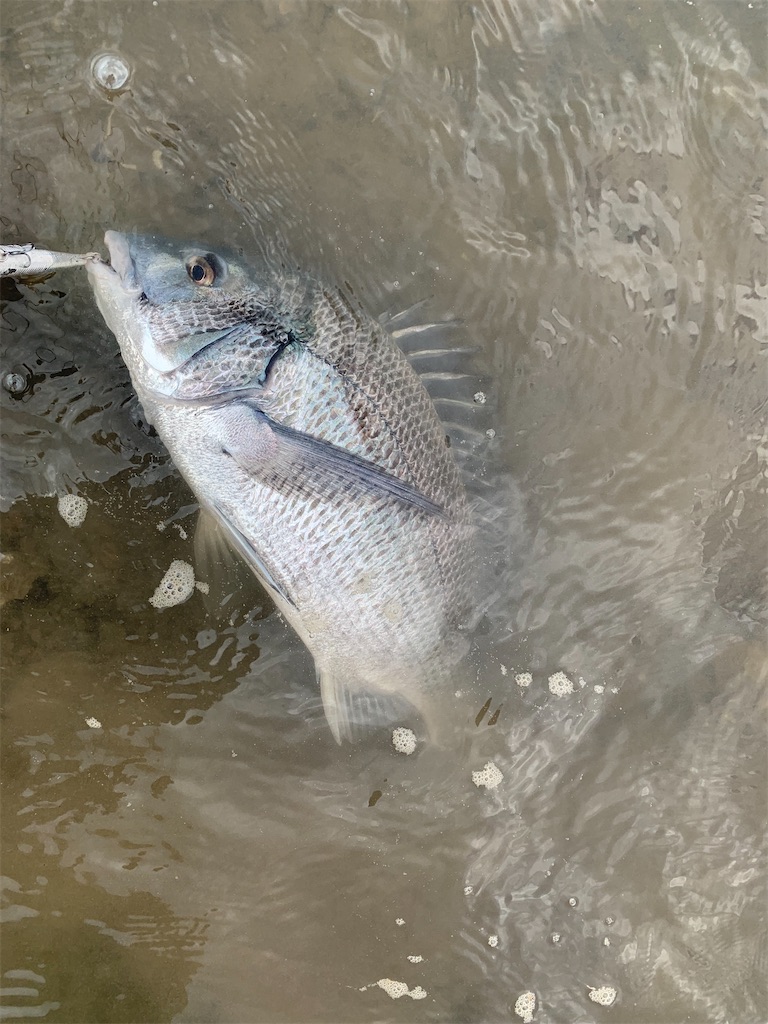 f:id:FFman_taku:20220123185151j:image f:id:FFman_taku:20220123185151j:image