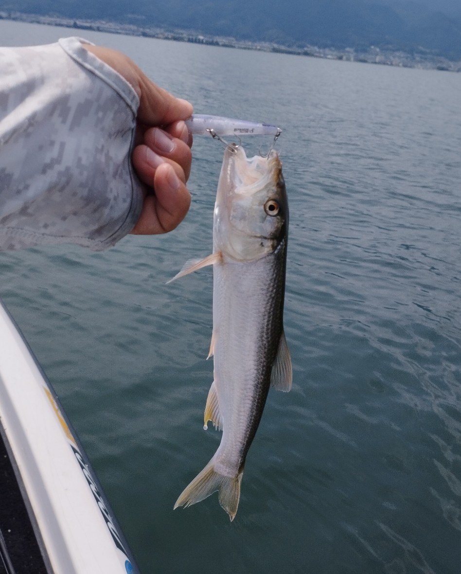 f:id:FIRE5000en:20230613173808j:image