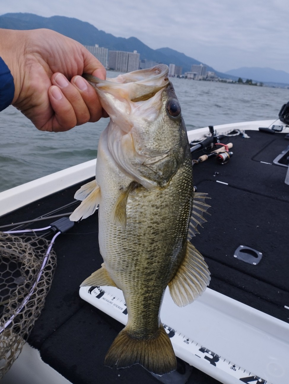 f:id:FIRE5000en:20240515174351j:image