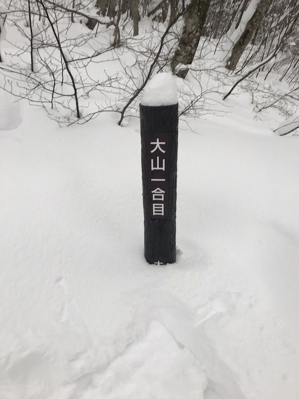f:id:FMK21920:20190102183620j:plain f:id:FMK21920:20190102183620j:plain