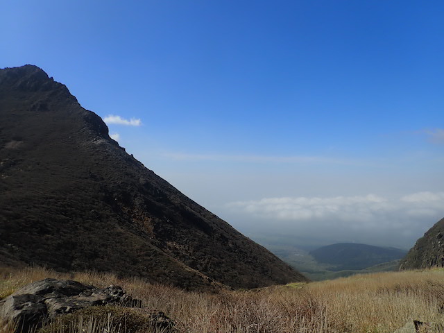 f:id:FMK21920:20190605204736j:plain f:id:FMK21920:20190605204736j:plain