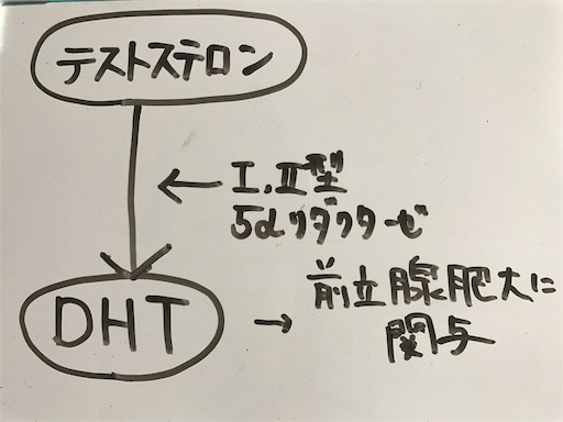 f:id:FMyakuzaishi:20180522010922j:image