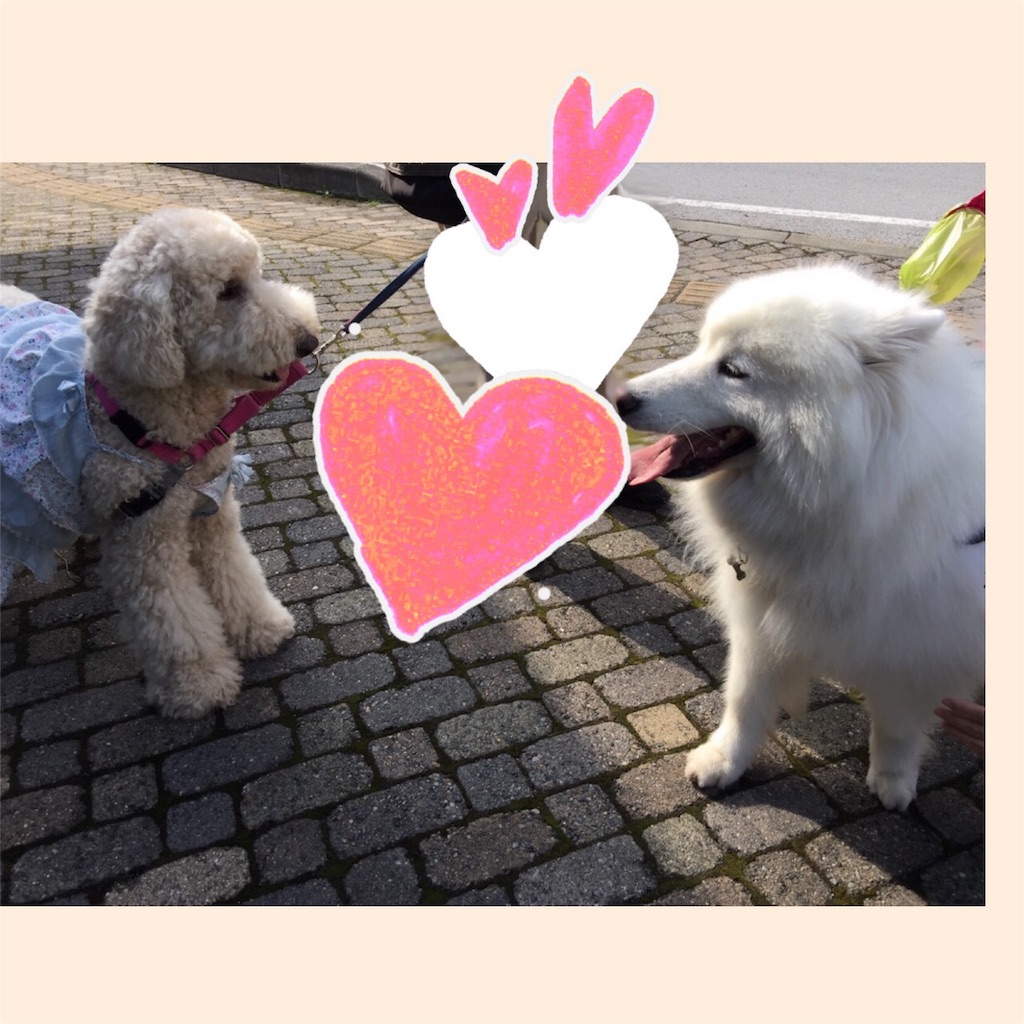 f:id:FOOCA:20170905100202j:image