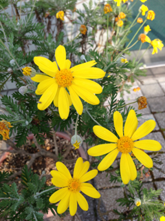 image-20130418170346.png