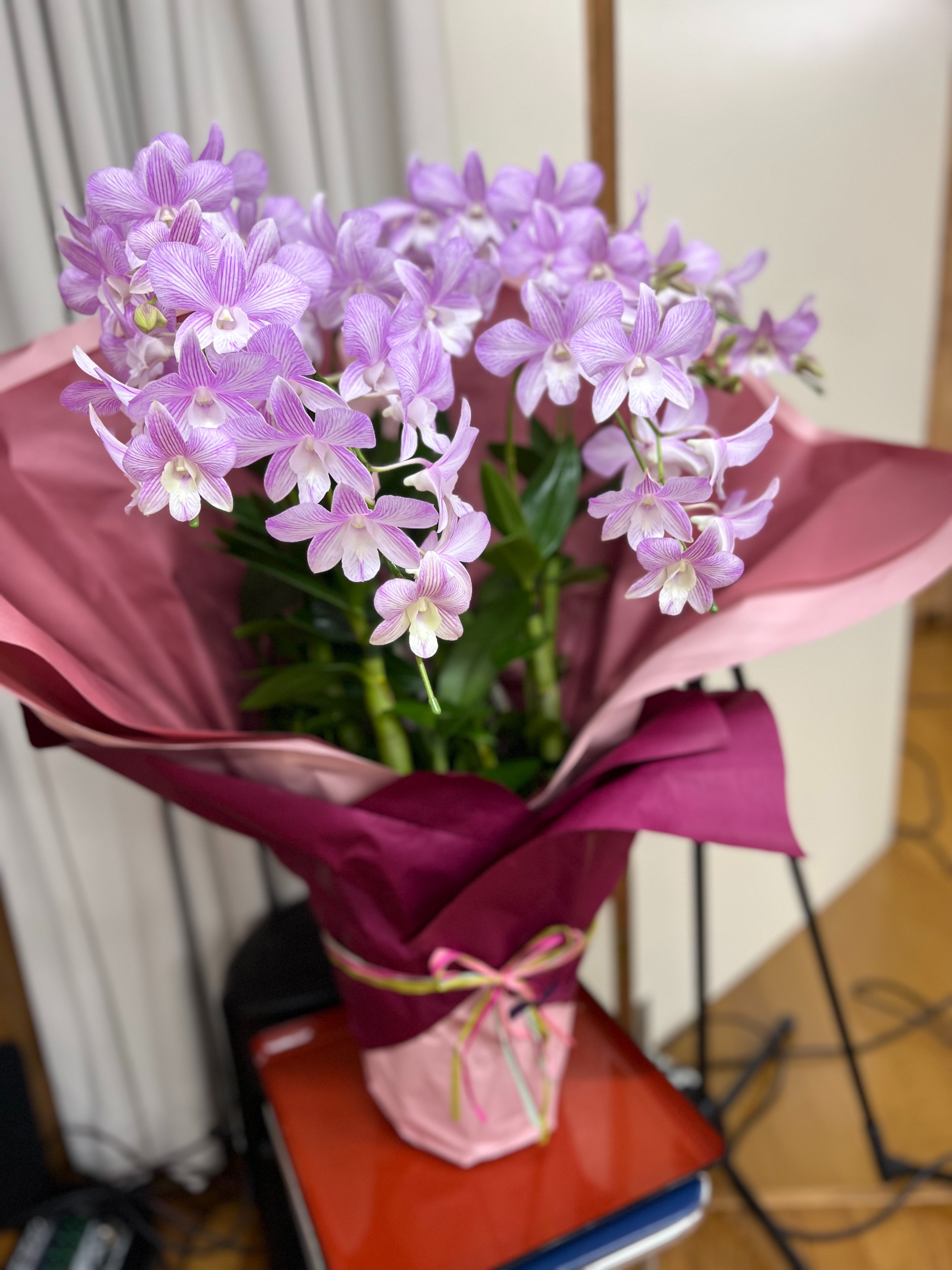 f:id:FORESTHILL:20230715122248j:image
