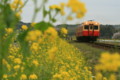 20100404112448