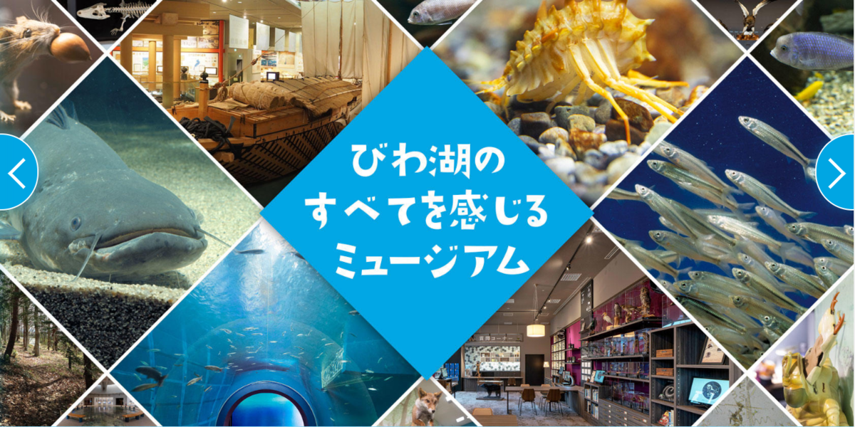 f:id:FROGMAN2016:20190319000314p:plain f:id:FROGMAN2016:20190319000314p:plain