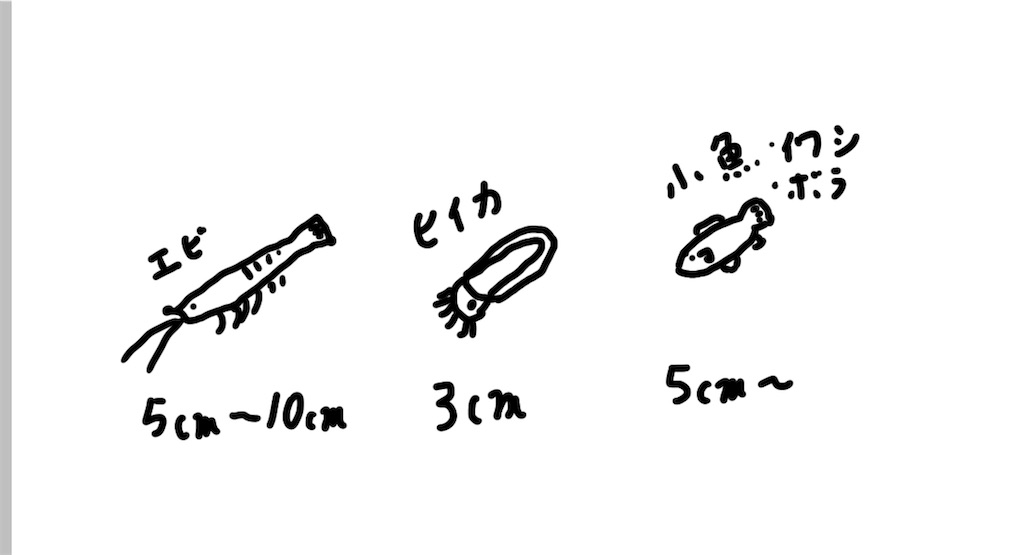 f:id:FS0606:20210925005237j:image f:id:FS0606:20210925005237j:image