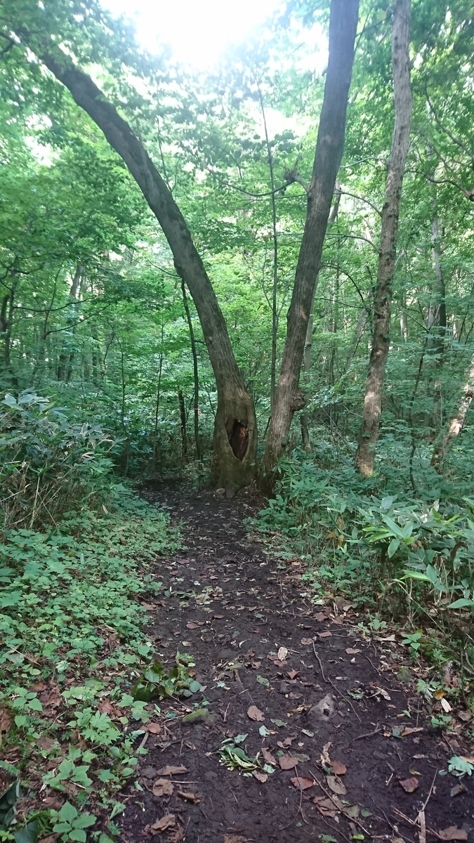 f:id:FST2:20200813211226j:plain f:id:FST2:20200813211226j:plain