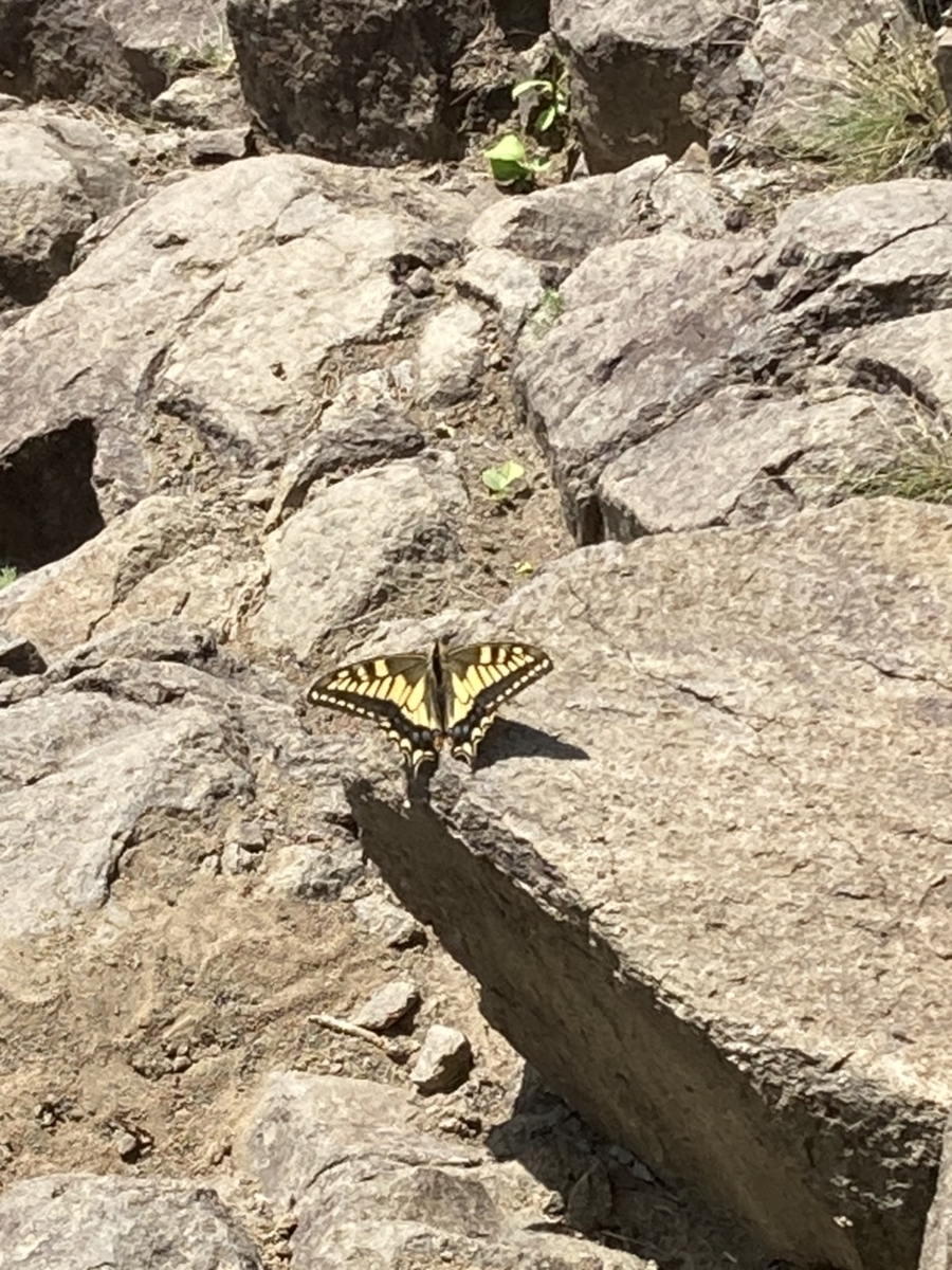 f:id:FST2:20200813213503j:plain f:id:FST2:20200813213503j:plain