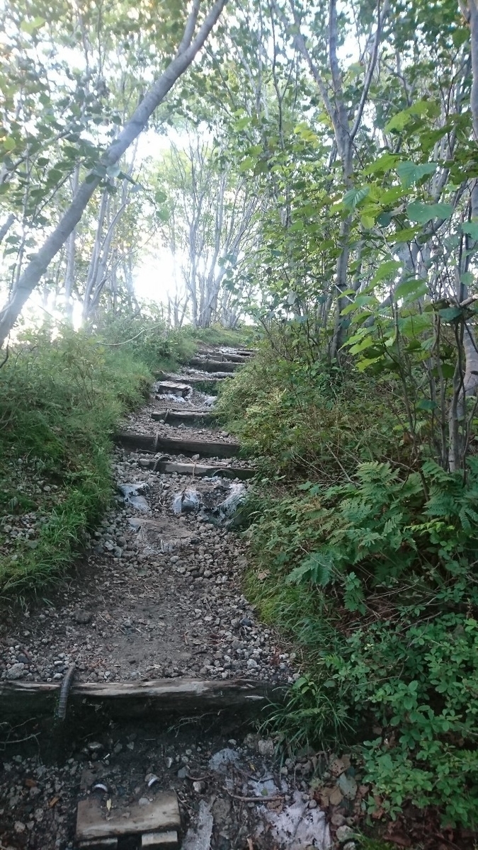 f:id:FST2:20200816201907j:plain