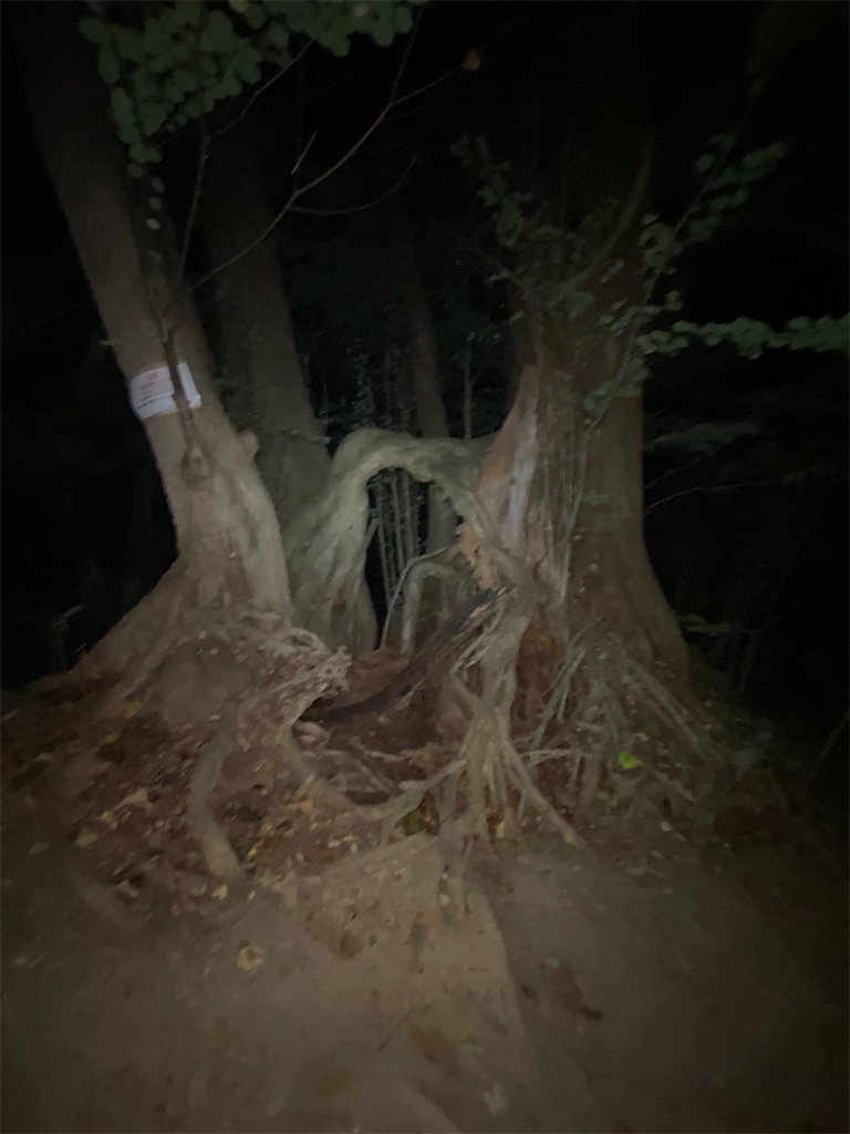 f:id:FST2:20200827222557j:image