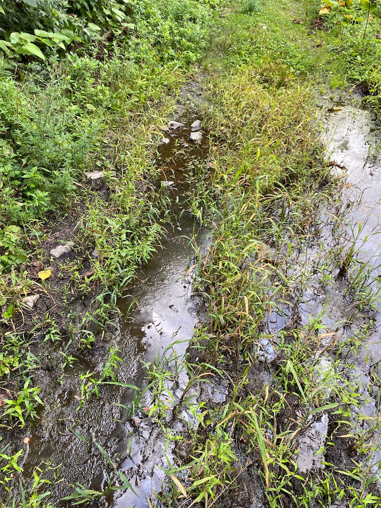 f:id:FST2:20200906195214j:image f:id:FST2:20200906195214j:image