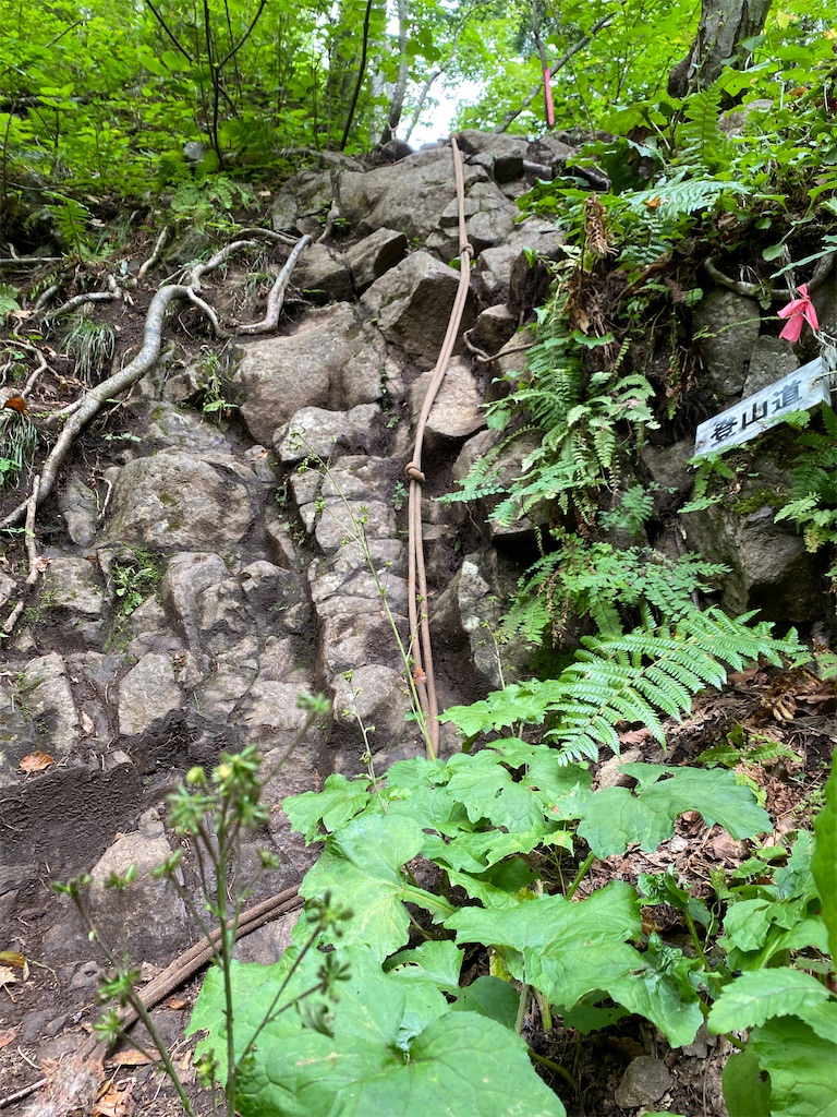 f:id:FST2:20200906200740j:image f:id:FST2:20200906200740j:image