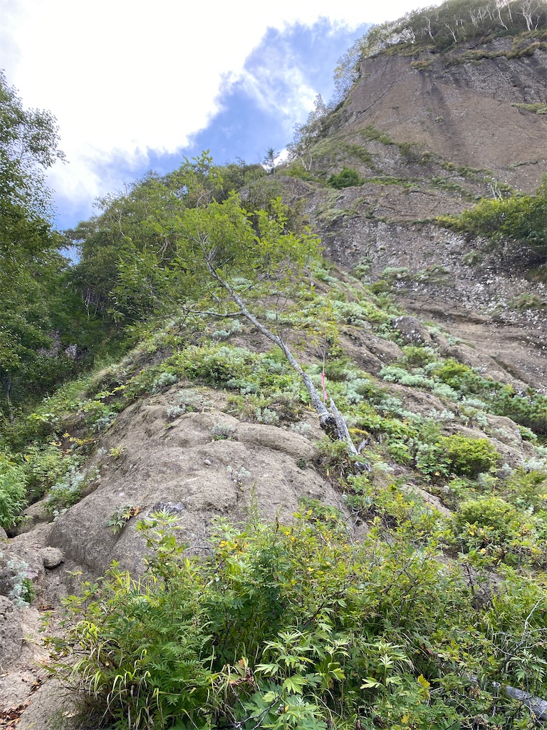 f:id:FST2:20200906203509j:image f:id:FST2:20200906203509j:image