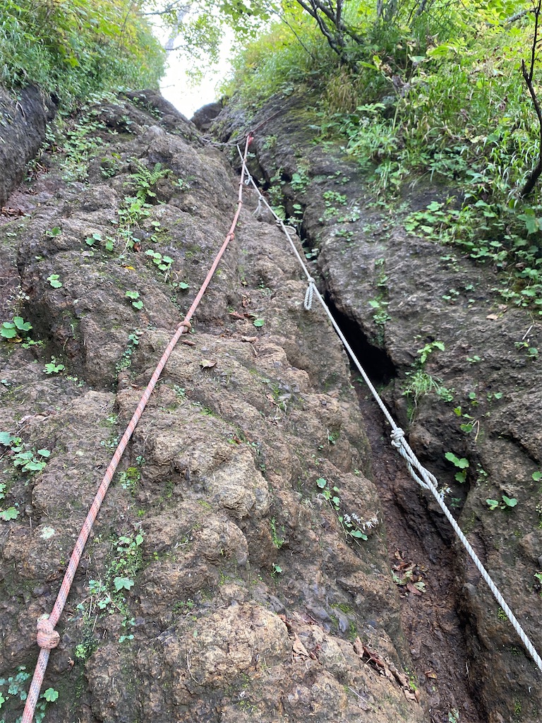 f:id:FST2:20200906204547j:image f:id:FST2:20200906204547j:image