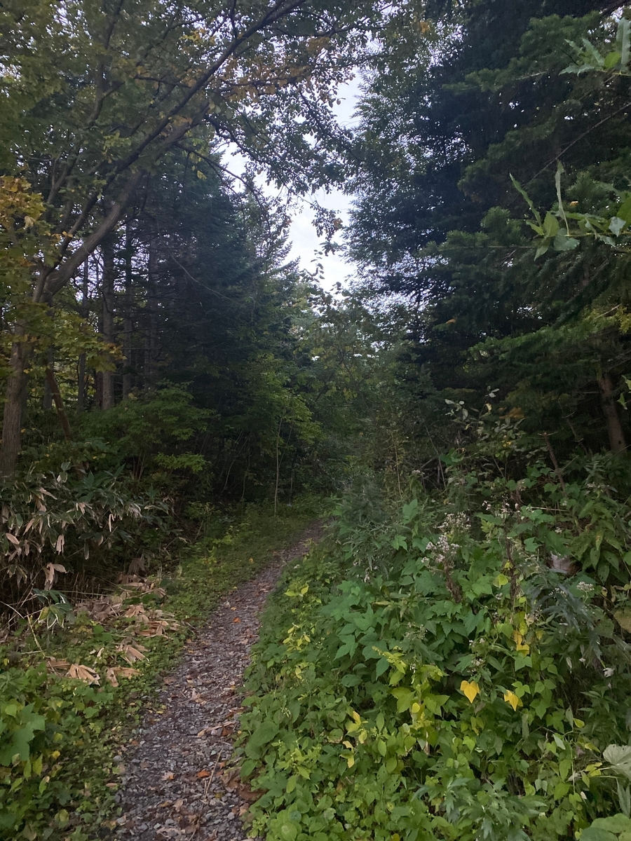 f:id:FST2:20201010172556j:plain f:id:FST2:20201010172556j:plain