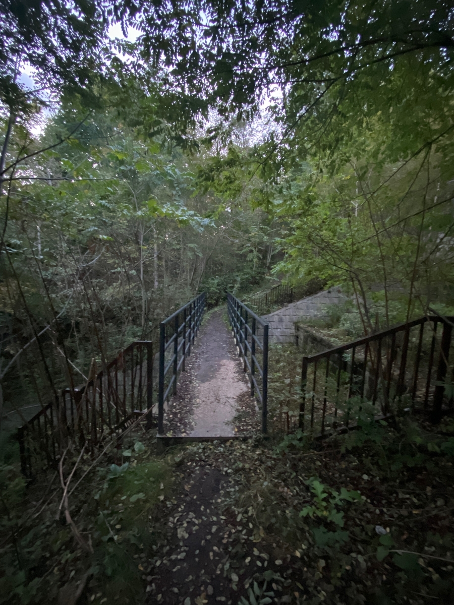 f:id:FST2:20201010173821j:plain f:id:FST2:20201010173821j:plain