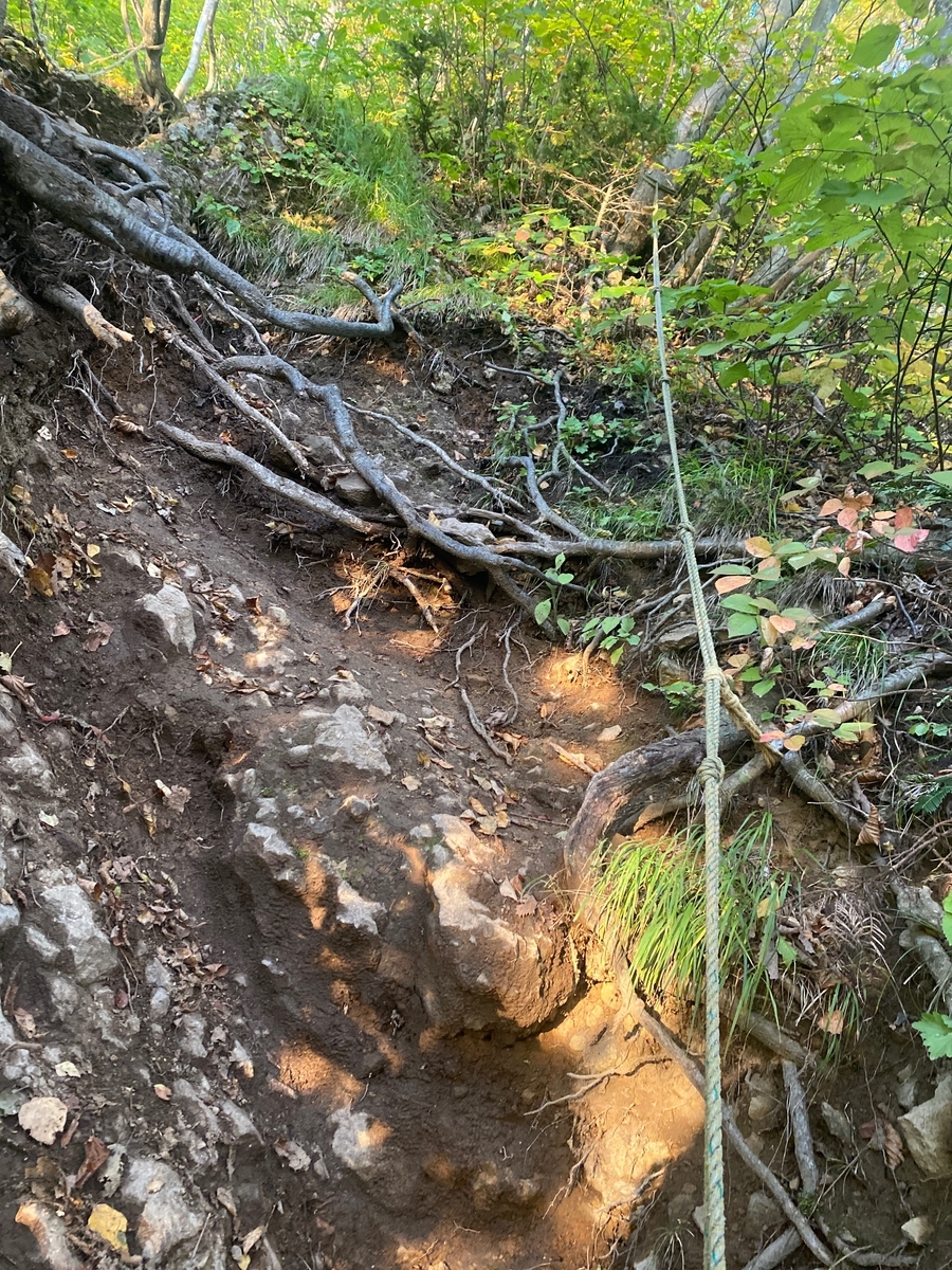 f:id:FST2:20201010174617j:plain f:id:FST2:20201010174617j:plain