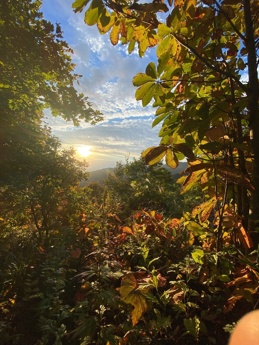 f:id:FST2:20201010175037j:plain f:id:FST2:20201010175037j:plain