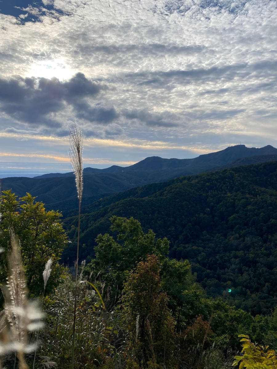 f:id:FST2:20201010211028j:plain f:id:FST2:20201010211028j:plain